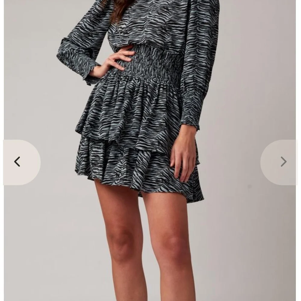 Chic Zebra Patterned Mini Dress - Picture 6 of 6